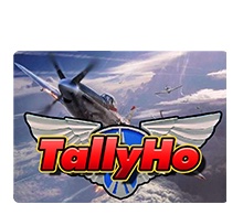 tallyho