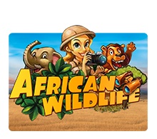 African Wildlife