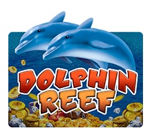Dolphin Reef