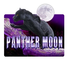 Panther Moon