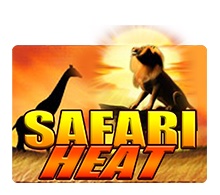 Safari Heat