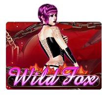Wild Fox
